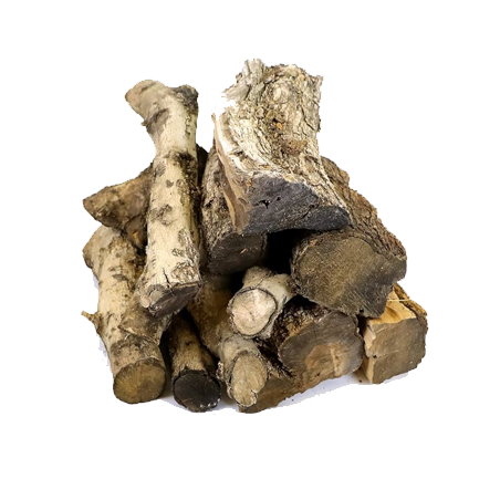 olivo